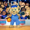 Bleacher Creatures University of Kentucky Wildcats Scratch 10" Mascot Plush Figure - 4 of 4