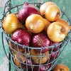 Van Zyverden 250ct Red Onion Bulb - 3 of 4