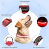 Milex LuminousCollar LED Light-Up Safety Pet Collar – Adjustable for Small, Medium & Large Dogs (3 Pack) - 3 of 4