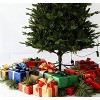 7.5 FT Pencil Christmas Tree, Prelit Skinny Xmas Tree with 350 Colorful Lights & 1573 PE Branch Tips - 2 of 4