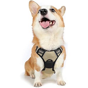 rabbitgoo Dog Harness, No-Pull Pet Harness with 2 Leash Clips, , Control Handle for Medium Dogs, Beige, M - 1 of 1