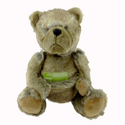 teddy bear with pocket