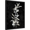 Amanti Art Plant Life White on Black IV by Danielle Carson Canvas Wall Art Print Framed 18 x 24-in. - 3 of 4