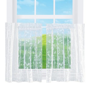 Collections Etc Elegant Isabella Sheer Lace Window Curtains - 1 of 4