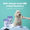 It's Goat! Blueberry! Freeze-Dried Goat Milk, Sweet Potato, Blueberry Snack for Dogs and Cats, 1.76 oz - 3 of 4