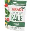 Brad's Plant Based Original Crunchy Kale - Case of 12 - 2 oz - 4 of 4