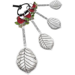 Ganz 4-Piece Zinc Alloy Measuring Spoon Set For Kitchen, Cardinals - 1 of 1
