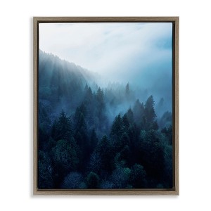 Stupell Industries Daylight over Pine Forest Floating Frame Canvas Art - 1 of 4