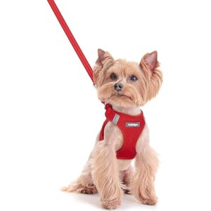 rabbitgoo Dog Harness Small Sized and Leash Set, Step in Soft Light Puppy Pet Harness, Reflective for Safe Easy Walking, Red XXS - 1 of 1