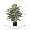 Vickerman Artificial Variegated Ficus Extra Full Series - 4 of 4