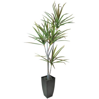 6.3' Artificial Dracaena Tree in Planter Black - LCG Florals