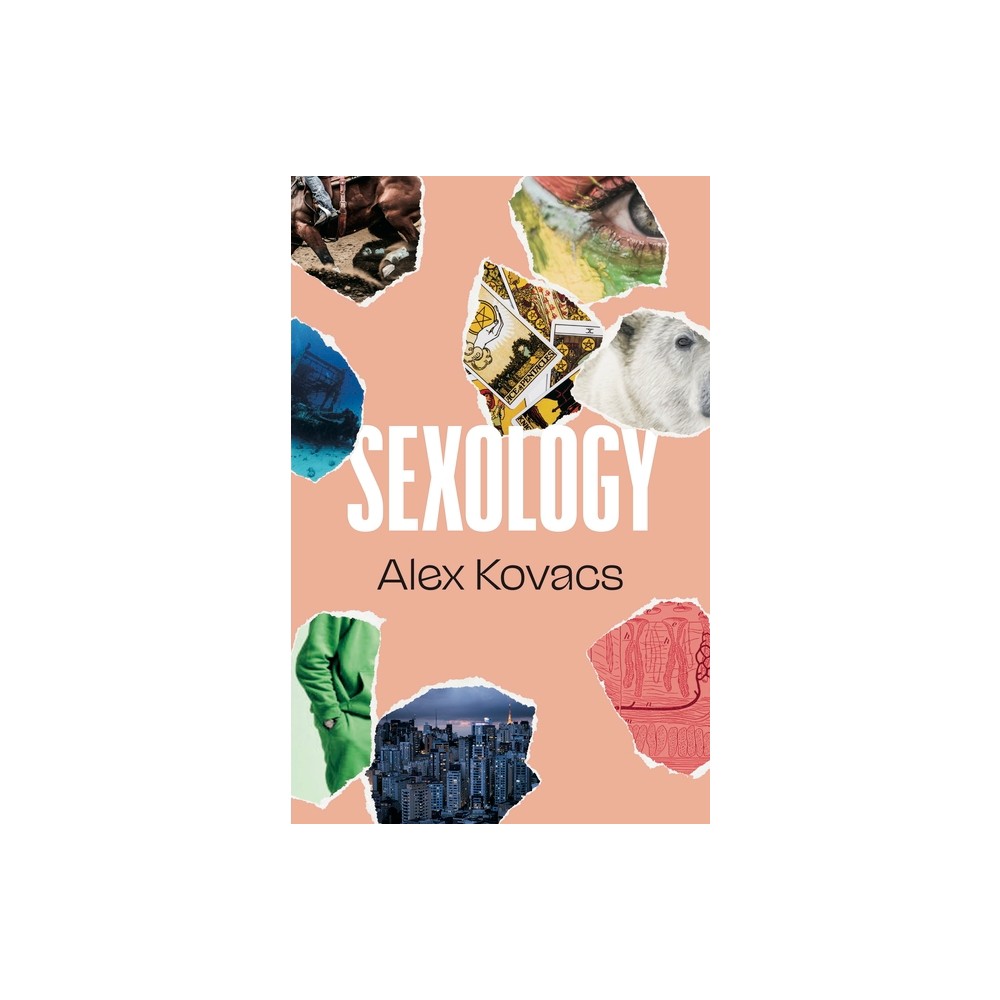 Sexology - (British Literature) by Alex Kovacs (Paperback)