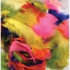 Creativity Street Turkey Plumage Feathers, Assorted Bright Hues & Sizes, 14 grams Per Pack, 12 Packs - image 3 of 4