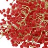 Unique Bargains Artificial Decoration Wedding Baby Breath Flowers 25.2" 6 Pcs - 3 of 4
