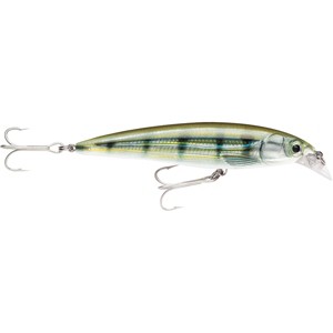Rapala 3 1/8" X-Rap 8 Saltwater Fishing Lure - 1 of 1