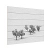 Trademark Fine Art Antonio Carrillo Lopez White Carpet Wood Slat Art - 2 of 4