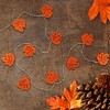 Northlight LED Maple Leaves Fall Harvest Fairy Lights - 4.5 ft Silver Wire - 10ct - image 3 of 4