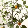 Artificial Tree - Faux 33" Potted Orange Tree - FXP1004 - Green - Safvieh - 3 of 4