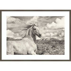 Amanti Art Free to Run by PHBurchett Wood Framed Wall Art Print - 1 of 4