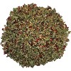 Morel Distribution Co | Menudo Spice Mix Seasoning, Premium Mexican Seasoning. Make Authentic Mexican Menudo. 4 oz - 2 of 4