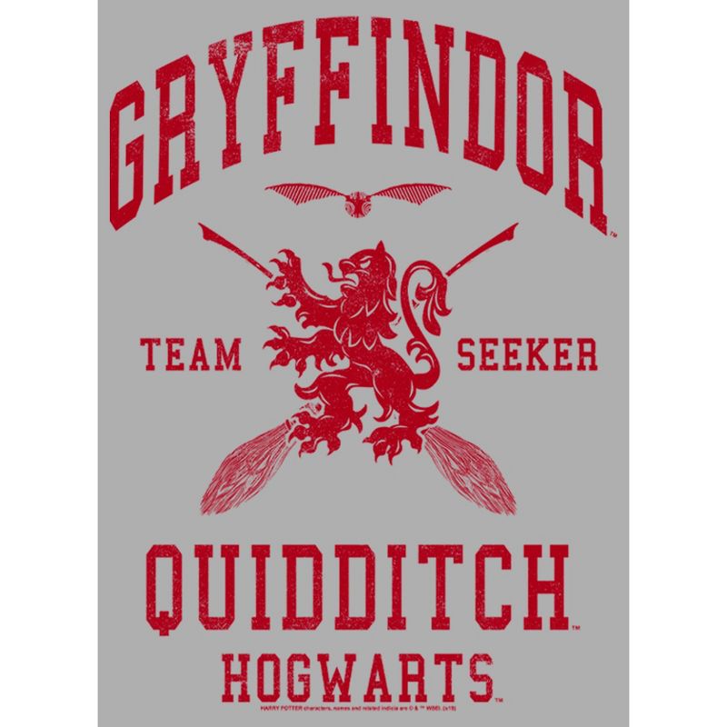 Boy's Harry Potter Gryffindor Quidditch Team Seeker T-Shirt, 2 of 6