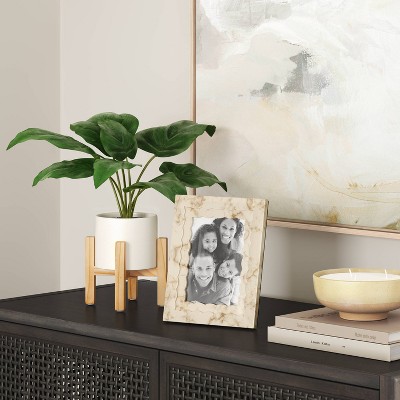 A green plant with broad leaves in a white pot on a wooden stand placed on a dark wooden surface.