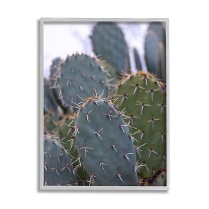 Stupell Prickly Cactus Desert Photography Framed Giclee - 1 of 4