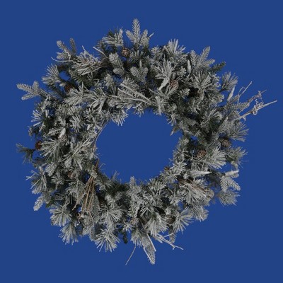 Vickerman 24" Frosted Wistler Fir Unlit Artificial Christmas Wreath