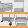Boersma 5 Tier Rolling Utility Cart with Drawer,Utility Cart Made of Multifunctional Storage Organizer Tool for Kitchen,Bathroom,Living Room - 3 of 4