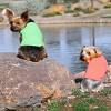 Doggie Design 100% Cotton Dog Tank - Green Flash - 3 of 3