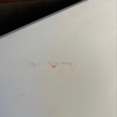 Guest review image 2 of 4, zoom in