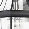 Newbury 3-Light Outdoor Wall Lantern - 2 of 3
