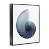 Stupell Industries Contemporary Nautilus Shell Framed Giclee Art - 2 of 4