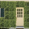 Pack of Plant Wall Panels 50 x 50 cm, 3D Panel Fern Artificial Plant Wall for Indoor Outdoor Privacy and Decorative Greenery Screen - 4 of 4