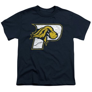 Pace University Distressed Primary Logo Kids T-Shirt For Youth Navy - 1 of 4