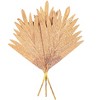 Vickerman 18" Artificial Designer Palm Fan, 3 per bag - 4 of 4