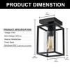 DORESshop 5.51 in. 1-Light Black Farmhouse Industrial Retro Cage Semi Flush Mount with Glass Shade for Living room, Bedroom, Foyer - 4 of 4