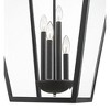 Talbot Outdoor Pendant Light - Black Iron, 4 Bulbs, Dimmable, Wet Rated, 19.5" x 32.25" - 3 of 4