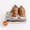 Little Love Bug Company Patterned Low Top Sneakers - 2 of 4