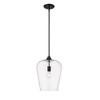 Z-Lite Joliet 1 - Light Pendant in  Matte Black - 4 of 4
