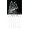 2026 Square Wall Calendar, Cat Shaming, 16-Month Humor Theme with 180 Reminder Stickers (12x12 In) - 3 of 4
