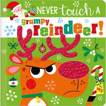 Never Touch a Grumpy Reindeer! - by  Rosie Greening (Hardcover)