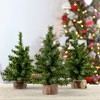 AuldHome Design Mini Christmas Trees, 3pk; Pine Tree Greenery Tabletop Holiday Decor - 2 of 4