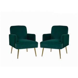 Set of 2 Rosa Transitional Comfy Living Room Armchair with Metal Legs | ARTFUL LIVING DESIGN - 1 of 4