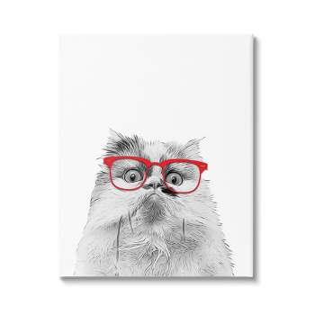 Stupell Industries Funny Face Cat Wearing Glasses Gallery Wrapped Canvas Wall Art