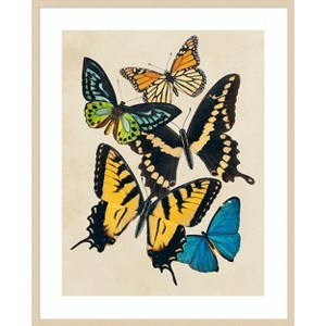 Amanti Art Collaged Butterflies II by Victoria Barnes Wood Framed Wall Art Print - 1 of 4