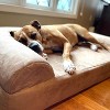Big Barker 7" Orthopedic Dog Bed - Sofa Edition - 4 of 4