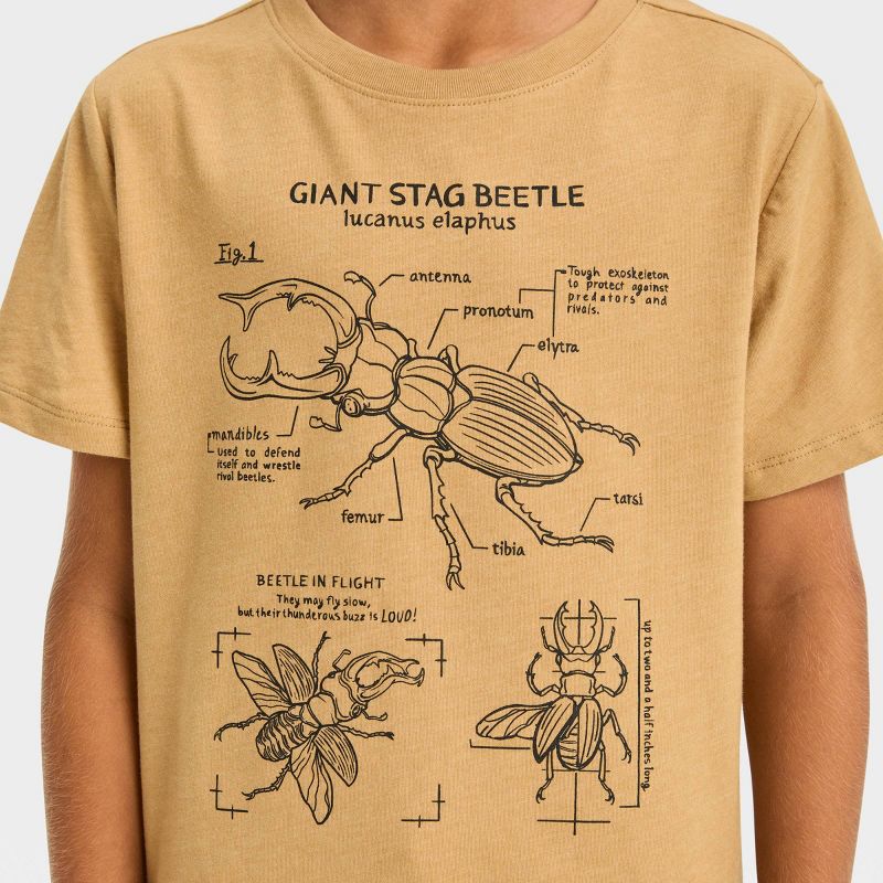 Boys' Short Sleeve Beetles 'Giant Stag Beetle' Graphic T-Shirt - Cat & Jack™ Brown, 3 of 5