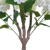 Artificial Hydrangea Tree, Fake Hydrangea Tree - 3ft Blooming Flower Tree with Realistic Leaves/Plastic Planter, Indoor/Outdoor - 3 of 4