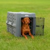 Dakota 283 Canine Rough and Tough Economy Pet Kennel, Heavy Duty Crate for Dogs and Cats with Ventilation Holes, Large, Dark Granite - 4 of 4